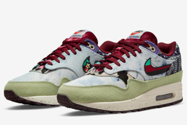 Concepts x Nike Air Max 1 SP Multi Color DN1803-300: Limited Edition Sneakers for Ultimate Style