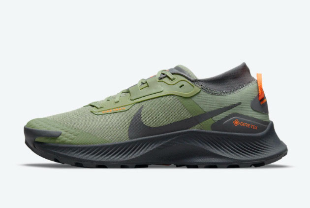 Nike Pegasus Trail 3 Gore-Tex Brown/Volt DO6728-200 - Waterproof Trail Shoes