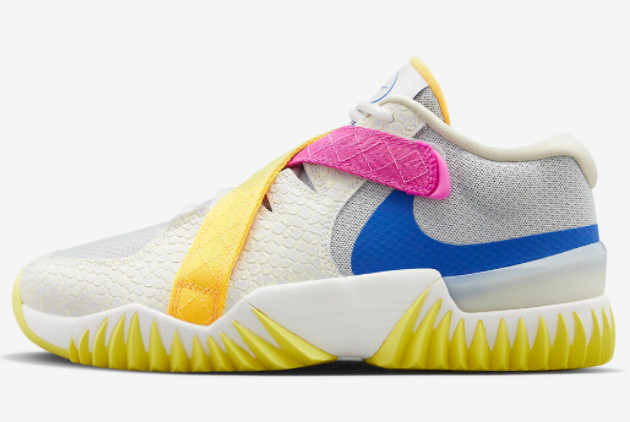 Nike Zoom Court Dragon Multi-Color DV8166-041 | Premium Sneakers